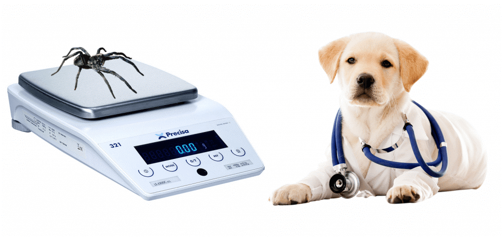 Small Animal Weigh Scales for Vet Offices